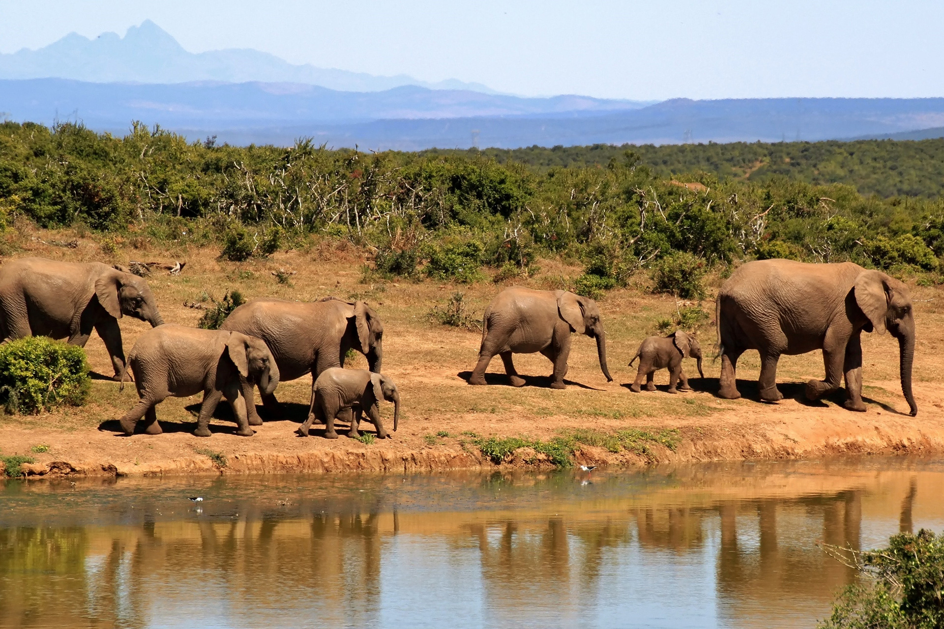 Your Adventure Travel Experts in the World