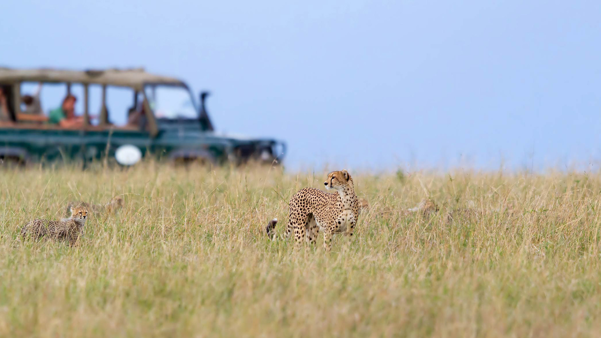 ENJOY KENYA - Nairobi - Lake Nakuru - Maasai Mara - Nairobi